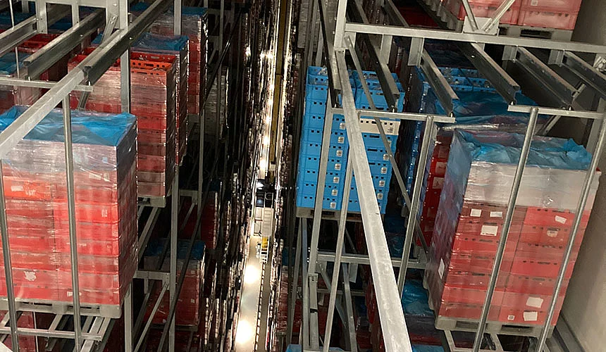 Konzeptplanung Tiefkühl-Hochregallager Konzeptplanung Tiefkühl-Hochregallager